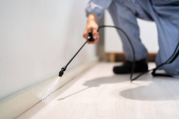 Licensed Fumigation Services service in Conover, NC - Nex Pest Control