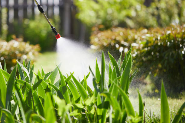 24/7 Emergency Fumigation Services experts in Conover, NC