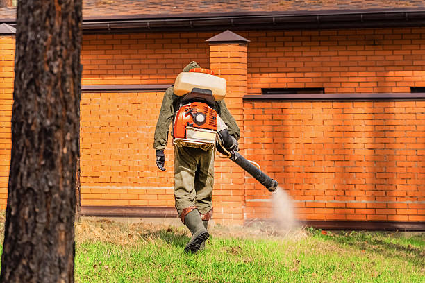 Trusted Termite Control service in Conover, NC - Nex Pest Control